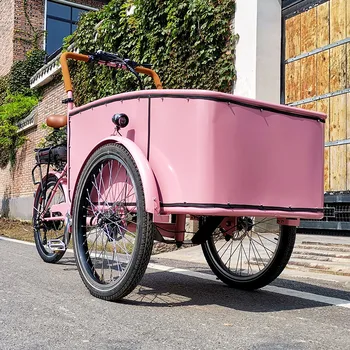 Розова Количка автомат на улицата три колела на велосипеда Голландца наем на пратката Педали цвят електрическа Призова за продажба