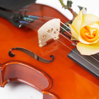 Твърди Дървени Лешояд Цигулка Ръчно Изработени Мат Violino На Музикален Инструмент+Калъф+Лук +Colophony+Mute За Марката BeginnerTONGLING